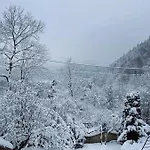 бойківчанка Jaremtje